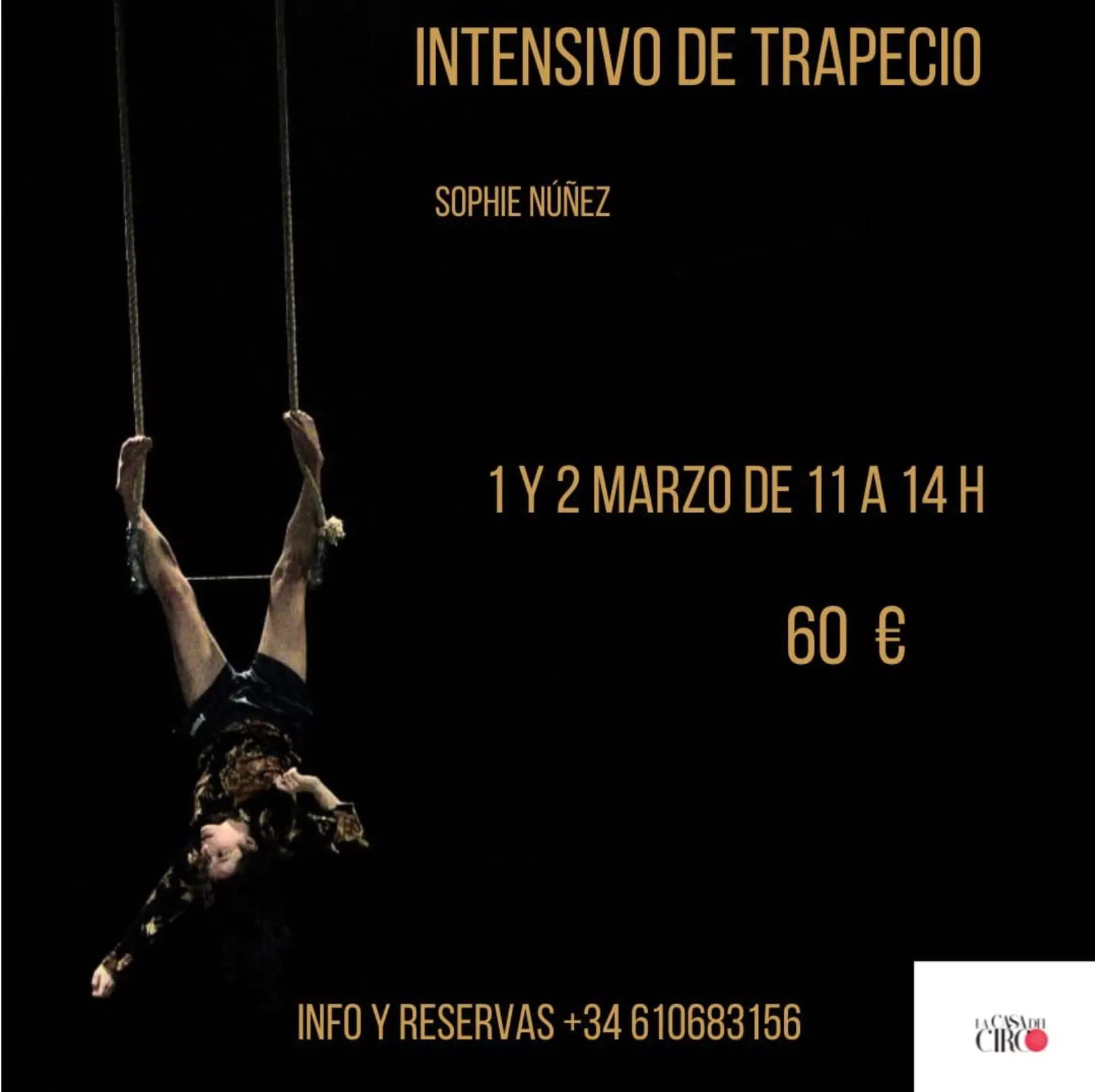 Cartel taller intensivo trapecio